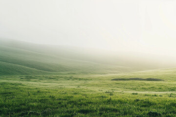 The ethereal beauty of a misty morning in a peaceful meadow, with soft fog blanketing the grassy landscape.  - obrazy, fototapety, plakaty