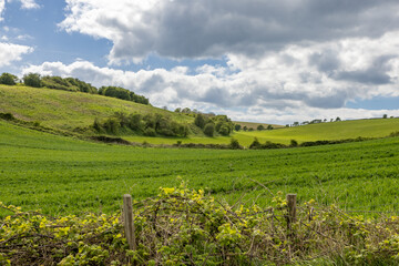 Fototapeta na wymiar A rural Sussex landscape on a sunny spring day