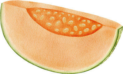 Japanese Melon Watercolor