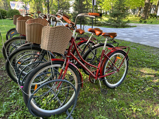Fototapeta premium Bicycles for traveling tourists. Bicycles for transportation are under a canopy. Vehicles with spoked wheels and a basket on the steering wheel.