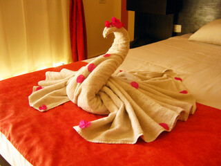 Towels folded in the shape of a swan in the Egyptian hotel in Dahab	
