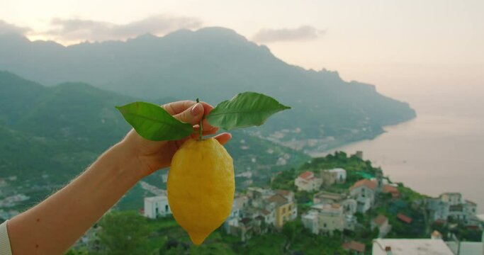 Ripe lemon with leaves is raised against an early dawn sky over the terraced landscape of the Amalfi coast in summer Italy.
