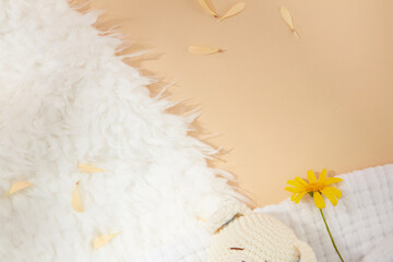 Background for designing with a half side is white feather carpet and other side milk brown...