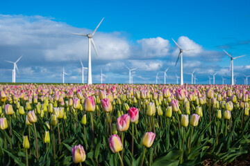 A colorful field of tulips stretches as far as the eye can see, with windmills spinning gracefully in the background under a bright Spring sky