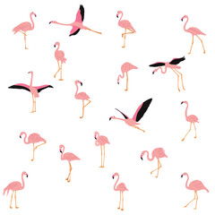 Obraz premium set of pink flamingos in flat style on white background vector