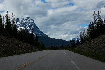 Fototapeta premium Summer landscape in Jasper National Park, Canada