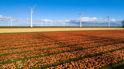A vibrant field of tulips swaying in the wind, with majestic wind turbines towering in the background on a sunny Spring day