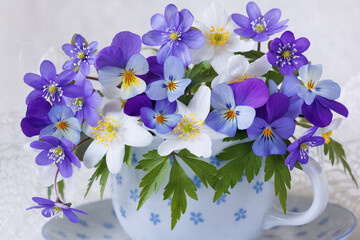 Bouquet of spring blue hepatica flowers, anemones, pansies, violets in a cup on a white background, closeup, beautiful card - 791570624