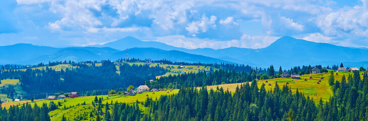 Panorama of the mountain meadow (polonyna) and silhouette of Chornohora Range, Carpathians, Ukraine - obrazy, fototapety, plakaty