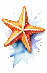 detailed hand-drawn watercolor illustration of starfish on white background. sea wildlife.