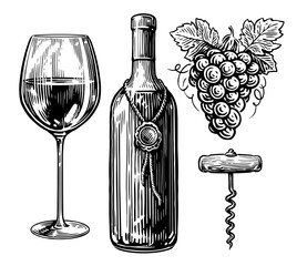 Wine drink concept. Bottle of wine, wineglass, corkscrew and bunch of grapes. Sketch vintage vector illustration