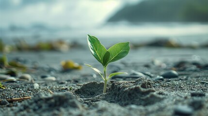 Young green plant in a wasteland in front of a beach, blurry beach and sea background. Generative AI.