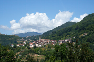 Fototapeta na wymiar Summer landscape along the road from Castelnuovo Garfagnana to San Romano, Tuscany