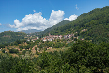Summer landscape along the road from Castelnuovo Garfagnana to San Romano, Tuscany - 791594697