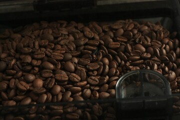 Roasted coffee beans in a coffee machine