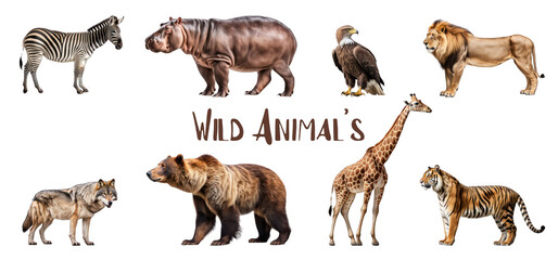 collection of portraits of Wild animals in relaxed poses, realistic 3d illustration isolated on transparent background