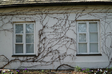 Manor house in Zelazowa Wola, Poland - birthplace of Frederic Chopin