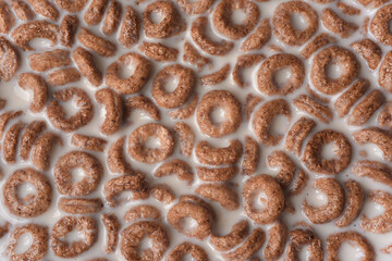 Close up photograph of breakfast chocolate cocoa brown hoops in milk Food background Top view © Garbe
