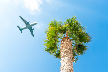 Passenger airplane flying above the palm tree against the blue sky.