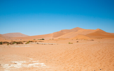 Fototapeta na wymiar View of sandy desert dunes with sparse plant growth.