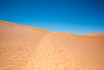 Landscape view of a desert sand dune covered in footsteps.