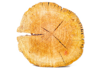 Cracked tree ring. Close-up on a white background.