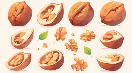 Isolated cartoon icon of whole walnut at white back