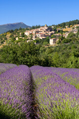 The hilltop village of Aurel in Provence with lavender fields in summer. Albion Plateau in Vaucluse, Provence-Alpes-Cote d'Azur Region, France - obrazy, fototapety, plakaty