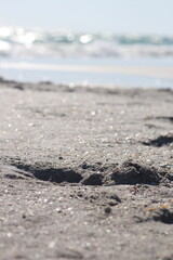 Fototapeta na wymiar Closeup of wet sand on the beach on a sunny day
