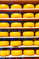 yellow cheese wheel as decoration in the shop window