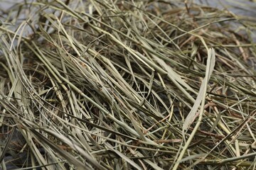 Heap of dried hay as background, closeup