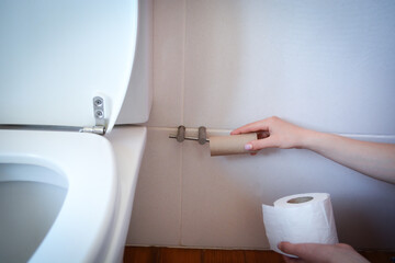 Home cleaning and bathroom hygiene. Girl changing a roll of toilet paper in the toilet