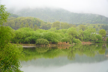 Spring in the Mulbit Park of Ungil Mountain