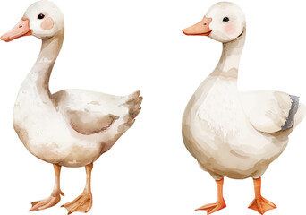 Cute watercolor geese. Vector illustration - 791647409