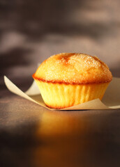 Dessert small cupcake on parchment on dark background