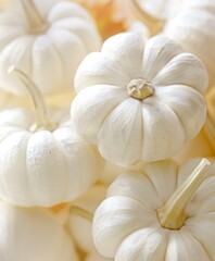 Obraz na płótnie Canvas White pumpkins in the midst of a fall harvest celebration