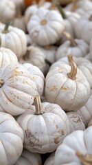 There are white pumpkins for sale at the fall harvest festival.