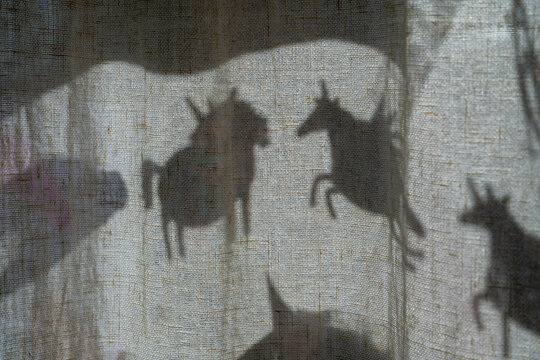 Shadows of animals projected on textured surface.