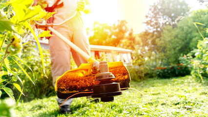 gardener with grass trimmer mows lawn