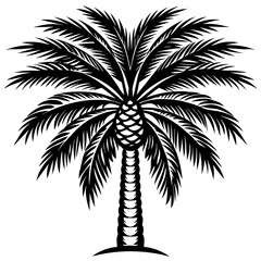 palm tree silhouette vector art