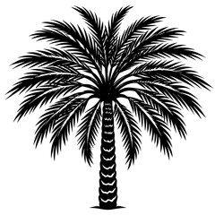 palm tree silhouette vector art