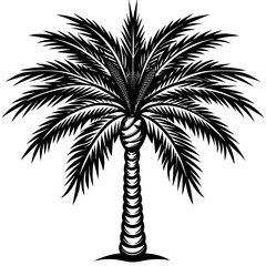 palm tree silhouette vector art