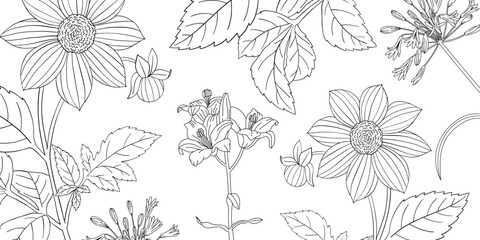 Coloring page for adults. Line art coloring activity. Beautiful hand-drawn flowers.  Mindful coloring for stress relief. Vector illustration - 791671826