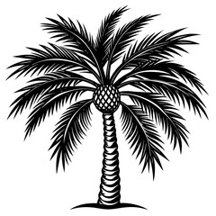 palm tree silhouette vector art