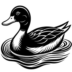 duck on white background vector art 