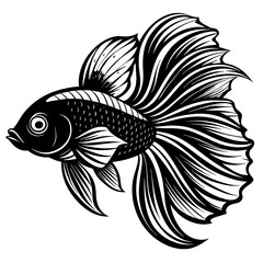 black and white betta fish vector art silhouette 