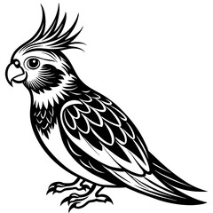 Cockatoos vector art silhouette 