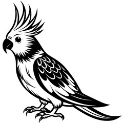 Cockatoos vector art silhouette 