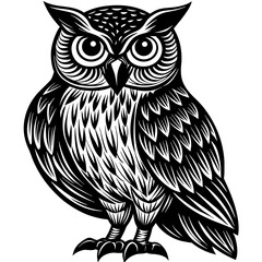 owl on a white background