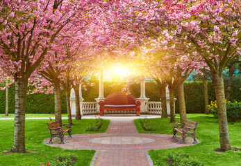 A spring day in the Sakura Park, featuring a grand leather sofa under a gazebo